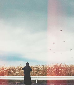 付出真心又怎样原唱，付出真心又怎样,最后还是空一场