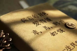 从前慢对爱情的寓意，从前慢的真正含义