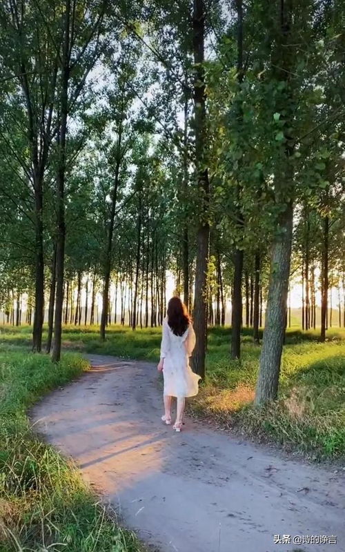 什么晚风什么相拥叫什么歌，落日与晚风深情相拥是什么歌