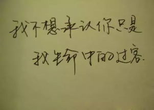 什么叫生命中的过客，过客代表哪种关系