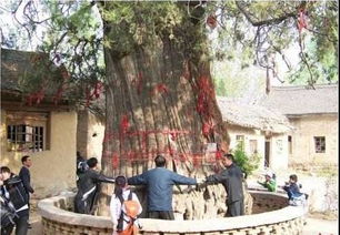 从前有座山儿童顺口溜，山上有座庙完整版故事