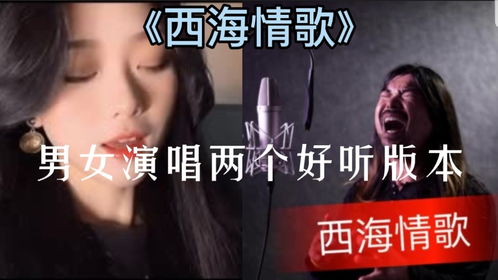 今年最火的情歌，2023年十大最好听的情歌歌名