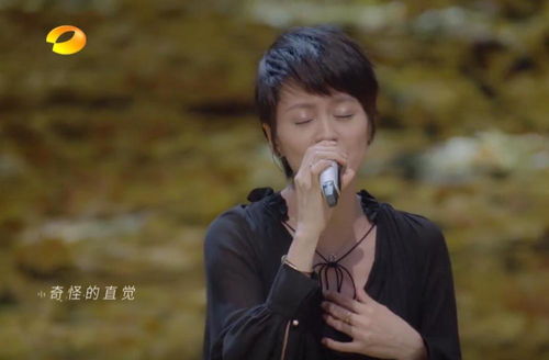 他一定很爱你是哪部电视剧主题曲，他一定很爱你视频阿杜