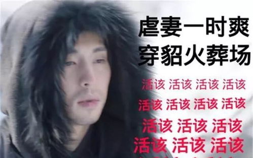 什么追妻火葬场来着，虐妻一时爽 追妻火葬场什么意思