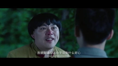 伪装的正面寓意，说一个人伪装啥意思