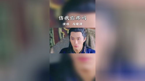 伤我你疼吗原唱，这首歌表达了什么含义
