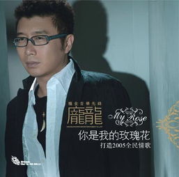 你是我的玫瑰花原唱，庞龙一曲《你是我的玫瑰花》