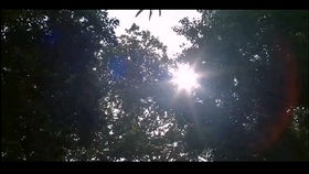 你曾经许下的承诺歌词，你曾经对我许下的承诺