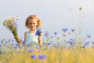 你不知道的事表达的感情,你不知道的事写给谁的