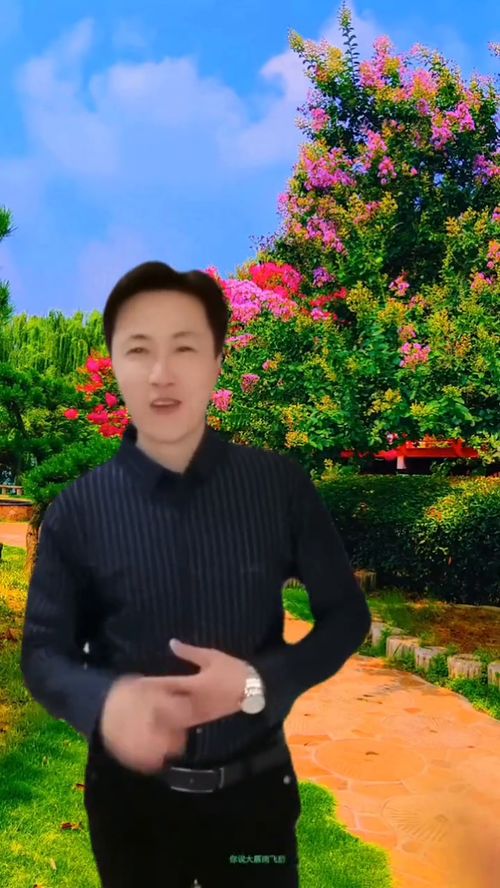 你说大雁南飞后原唱,降央卓玛《雁南飞》