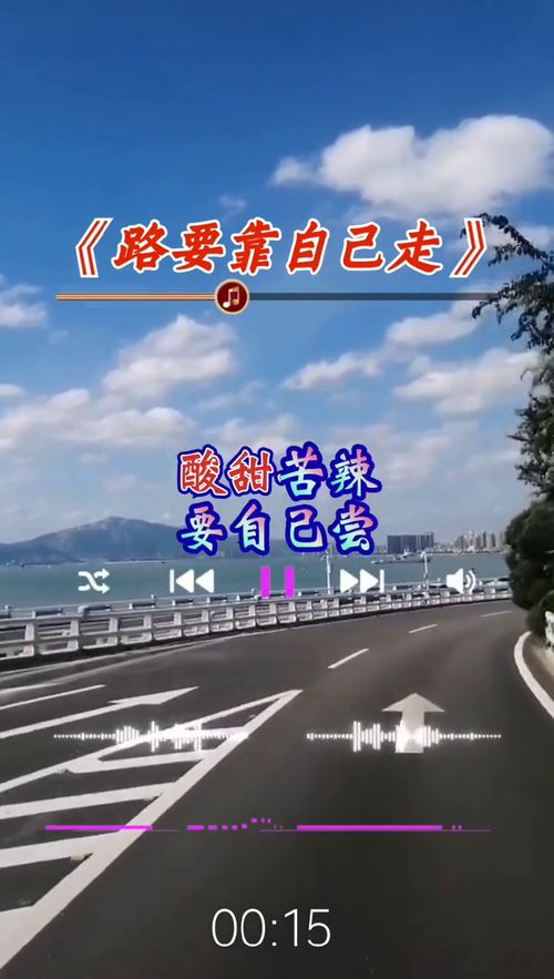 你要往哪走歌曲原唱,路要靠自己走歌曲
