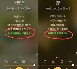 你还要我怎样歌词薛之谦，方圆几里歌词薛之谦
