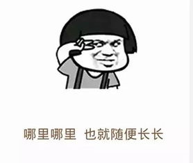 你准备好了吗下一句,准备好了怎么幽默回答