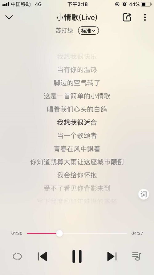你听得到的歌词深层含义,你听得到这首歌是暗恋吗