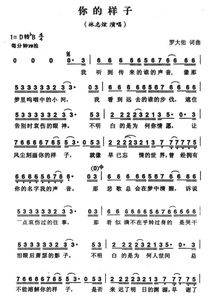 你的样子歌词深层含义，歌曲《你的样子》原唱