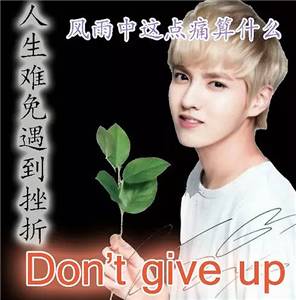 你就是歌姬吧表情包，你就是歌姬吧虎哥图片