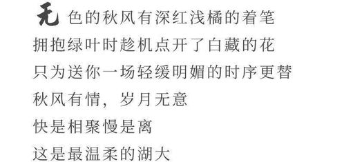 你怎么这么好看，我怎么这么好看歌词完整版