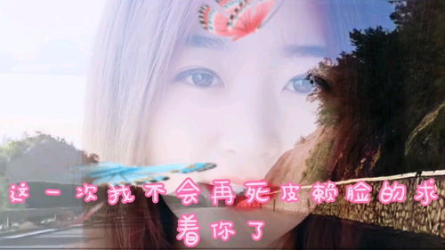 你不再属于我表达什么感情，你不再属于我的伤感句子