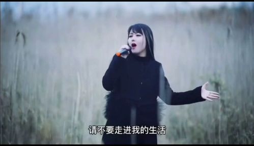 你不懂我的难过有多难过是什么歌，你不懂我的难过这首歌表达了什么