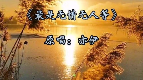 你我皆凡人的文案,一介凡人文案