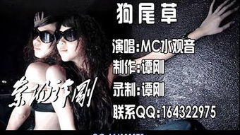 你准备好了吗水观音dj歌曲,我是mc水观音是哪首歌