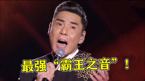 你歌曲屠洪刚歌词寓意，屠洪刚～你什么含义