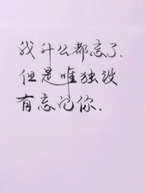 你怎么忘了你说过的爱我，你怎么忘了 你先说的爱我