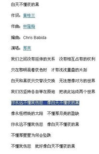 你永远不懂我伤悲歌词，白天不懂夜的黑 歌词