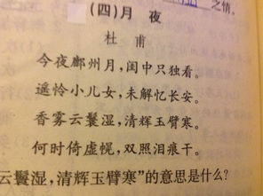 你的答案这首歌的含义，你的答案歌曲寓意