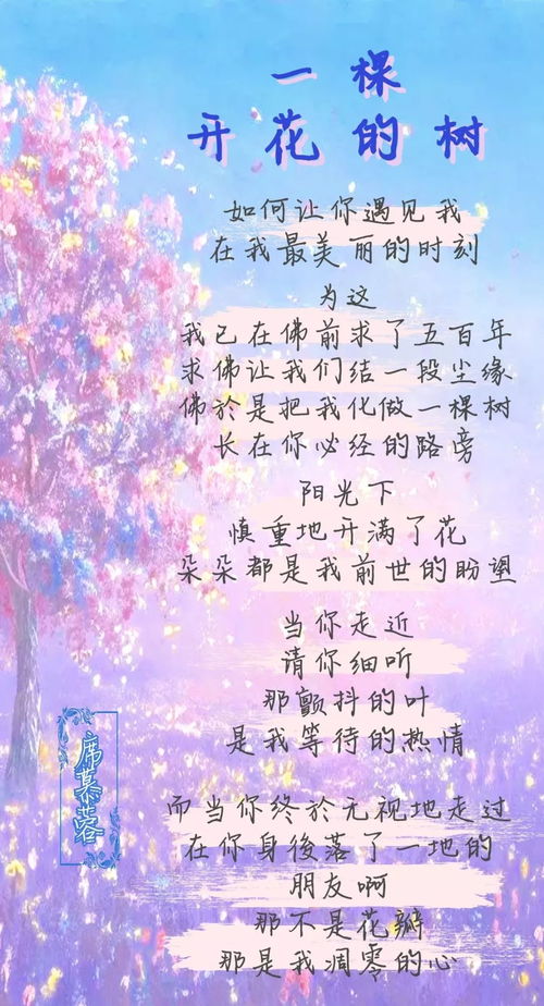 你是我最美的遇见，散文《最美的遇见》