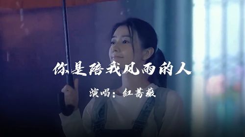 你是陪我走过风雨的人完整版，你是陪我风雨的人DJ