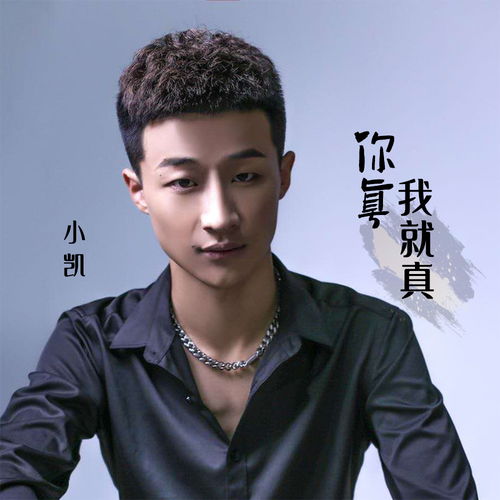 你真我也真全部歌词，你真我就真什么歌曲