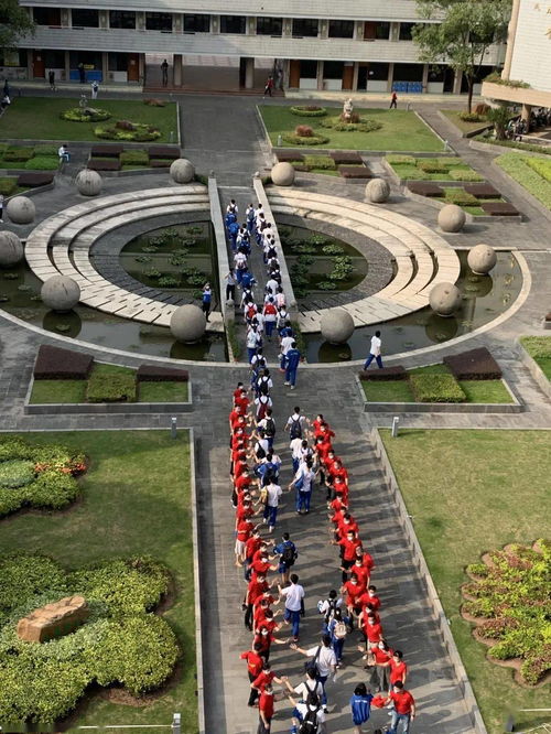 你和她睡了家家歌曲,家家的歌为什么被禁了