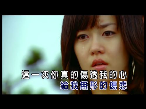 你伤透了我的心下一句歌词，伤透了我的心是什么歌