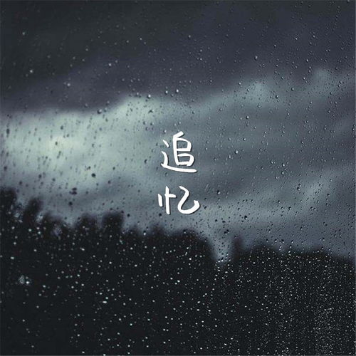 你会不会偶尔想起我原唱，歌词中有你会不会想起我的歌