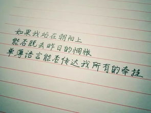 你永远不懂我这首歌意义，你永远不懂我歌曲背后的故事