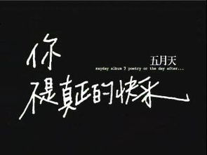 你不是真正的快乐歌词寓意，你不是真正的快乐下一句