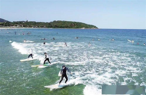 你最近过得还好吗海南的冬天,你最近过得还好吗我故事