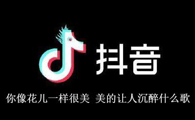 你像花儿一样很美DJ，爱情堡垒原唱DJ在线听