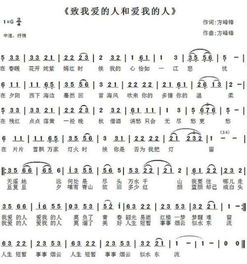 你从哪里来歌词，央视你从哪里来介绍了几个人