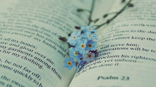 你是我的眼寓意是什么，你是我的眼歌曲感悟