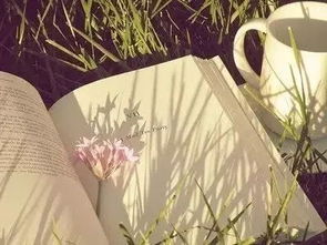 倦了 累了 厌了，累了倦了下一句