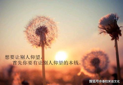 光亮的深层含义，听完光亮的感悟