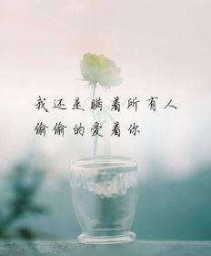 做不了夫妻却彼此深爱歌曲，有一种爱情胜过夫妻