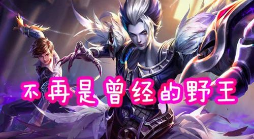 元歌走哪条路最好，元歌打野好还是对抗好