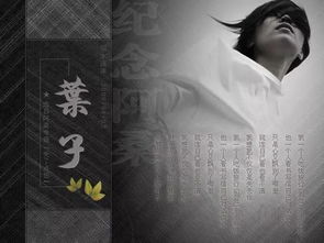 偏爱春风这首歌是谁唱的，偏爱春风歌词到底是什么