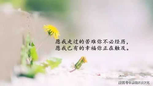 入了心的音乐怎么表达，歌入了心的人感悟句子