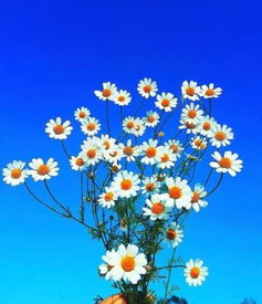 充满希望和励志的句子,很暖很治愈的短句