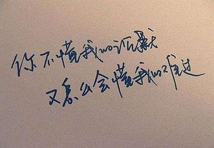 傻子和疯子的经典语录，骗子和傻子的经典语录