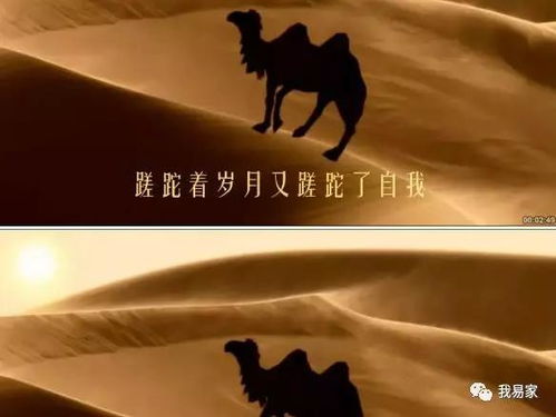 兄弟最火的十个歌曲,网络最火的兄弟歌曲